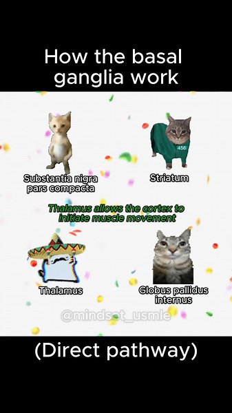 Free USMLE Question Bank for Medical Students