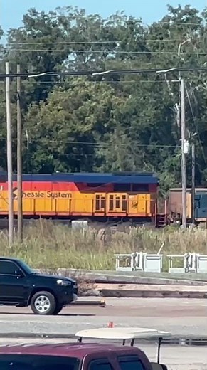 CSX 1973 Chessie System HU