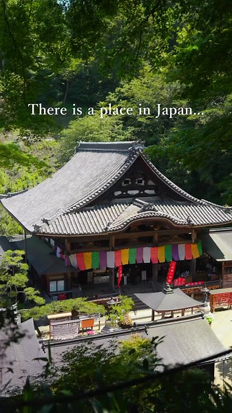Discover Okadera Temple: A Jewel of Japanese Buddhism