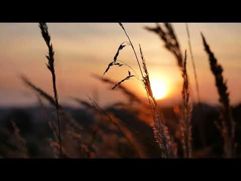 Beautiful Evening, Evening Landscape, Sunset, Dusk, Background video, 4k, VJ Loop, Video Footage