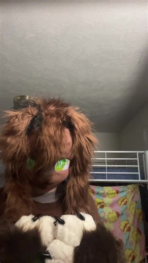 Funny Dog Drafts in the Furry Community