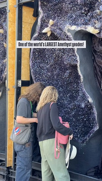 We’ll be here all week! We’re having some of the coolest finds we’ve ever had. Shop our collection online at the link in our bio.