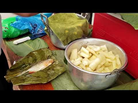 Maito de la Amazonía ecuatoriana