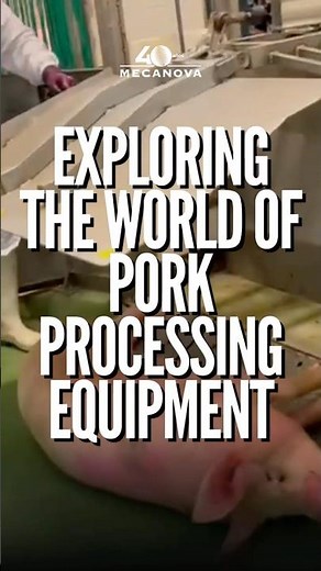 STUNNING BOX - Exploring the World of PIG Processing Equipment (Part 3)