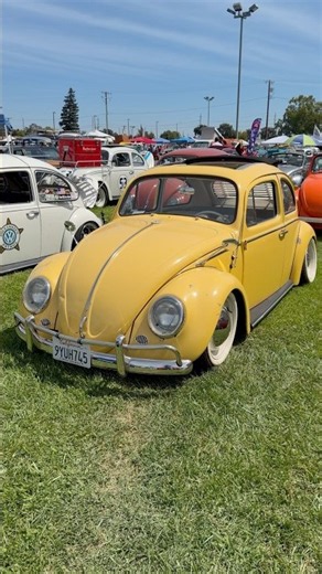 Yellow Ragtop Volkswagen Beetle #vw #vwlife