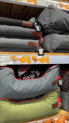 Your one-stop pet store!  From fish essentials to cat must-haves, cosy dog beds to bird cages, we’ve got it all under one roof! 列 Visit #PetzonePortElizabeth and find everything your furry, feathered, and finned friends need! | Petzone Port Elizabeth | Facebook