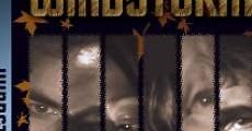 Windstorm (2007)  - Ver Película Completa en Español / Castellano - FULLTV