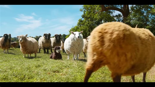 The sheep detectives movie trailer