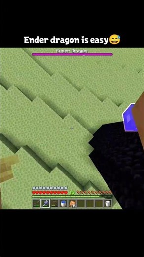 Minecraft Enderdragon moment...