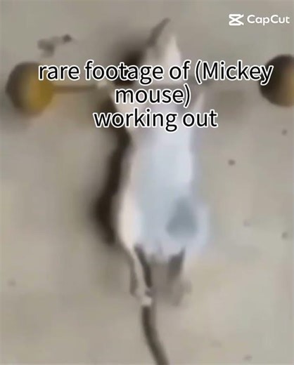 Rare footage of mouse working out!🤣#shorts