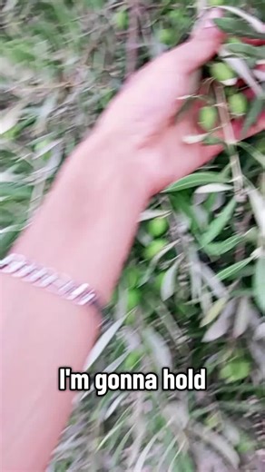 #LIVEIncentiveProgram #فاس_مكناس💛♥️ #PaidPartnership #LIVEStory @إبراهيم ألوردي🇲🇦✅