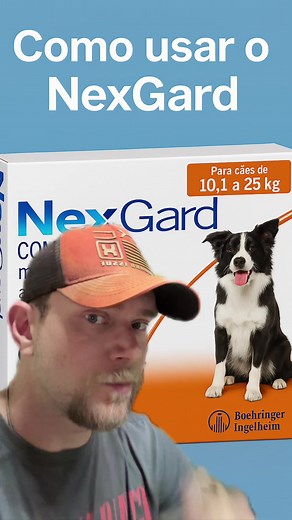 NexGard: O Melhor Remédio para Carrapato em Cachorros