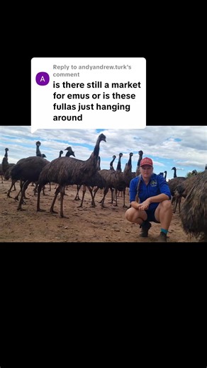 Exploring the Growth of the Emu Farming Industry