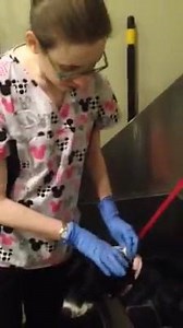 32K views · 2.7K reactions | Second update here:...