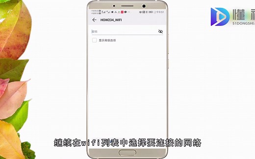 路由器已连接不可上网怎么办？路由器已连接不可上网