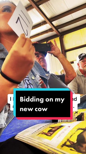 Bidding on a Blue Roan Simmental Heifer at Cattle Auction