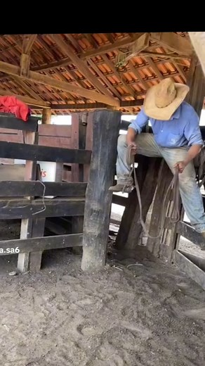 Ney Mergulhao on Reels