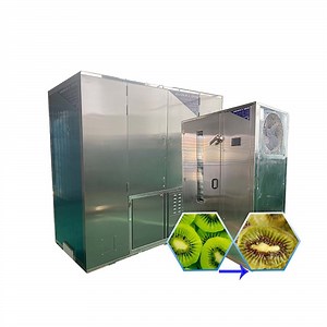 [Hot Item] Drying Line for Fruits and Vegetables Dehydration Machines Fruit Dryer Machine
