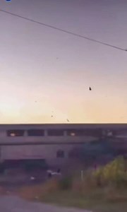 Train crash | Dashcam Lessons