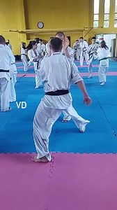 Poetry in motion #ValeriDimitrov | Valeri Dimitrov Shihan