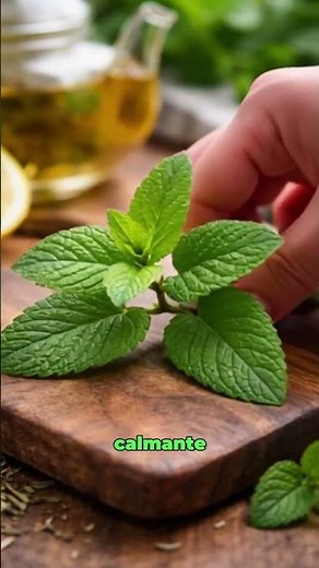 Chá de Erva-Cidreira para Relaxar 🌿