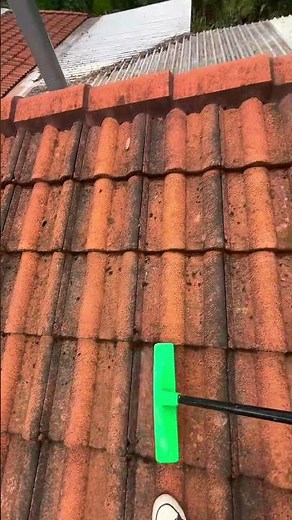 Do you know why moss growing on your roof tiles is bad?