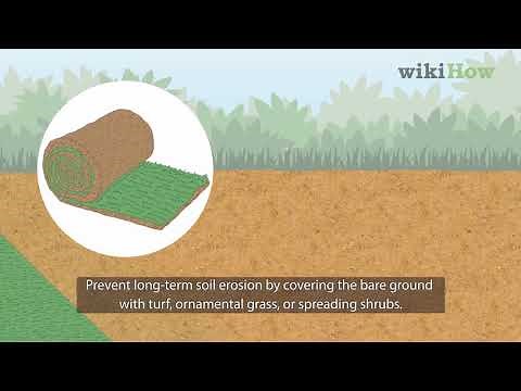 How to Prevent Soil Erosion