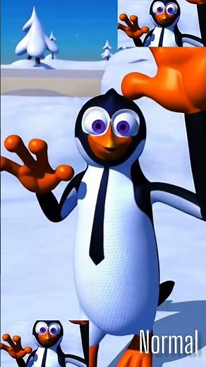 The Silly Bird Shimmy Dance by Penguin | The Funniest Bird Sound (Effects | Normal - G Major 996 )