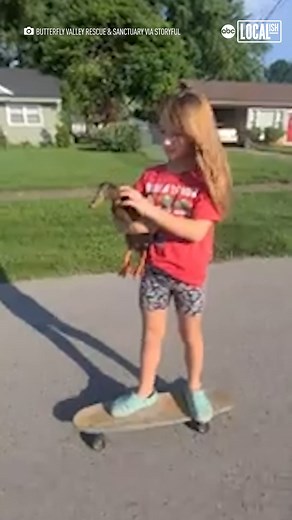 85K views · 101 reactions | This rescued duck and girl are best friends! 閭❤️ | Localish | Facebook