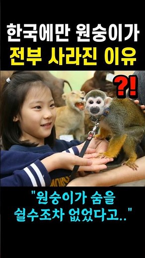 The reason why all monkeys disappeared only in Korea