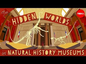 The hidden worlds within natural history museums - Joshua Drew