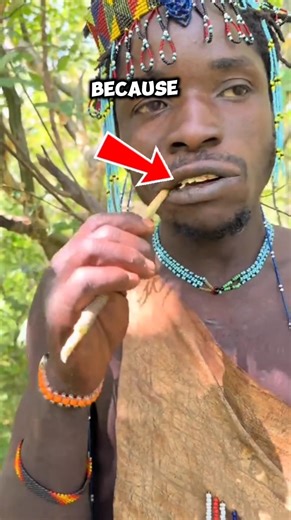 They Brush Teeth With a Tree Twig! 🌿😲