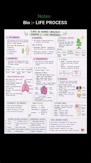 class 10 bio ( LIFE PROCESS ) NOTES