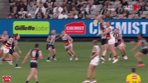 Pendlebury facing first ban after 427 AFL matches; Petracca a force again for Suns