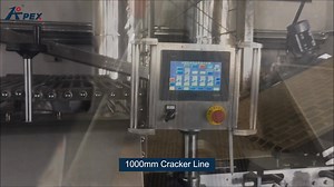 1.4K views · 15 reactions | We are committed to driving innovation in food processing automation, especially in the field of biscuit manufacturing. We are proud to introduce our advanced equipment, which not only improves production efficiency but also ensures excellent product quality.  | Apex Food Processing & Automation | Facebook