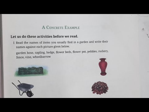 Class 8th English Concrete example | ganita prakash part1