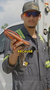 Elmer's Favorite Fluke Multimeter – #mechanic #tools | Fortis HD