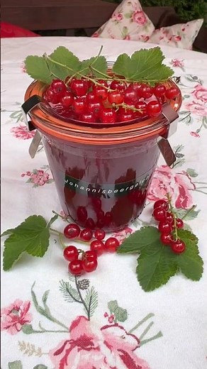 Kennst du dieses Sommerrezept? 🍇 Hausgemachtes Johannisbeergelee – frisch aus dem Garten!