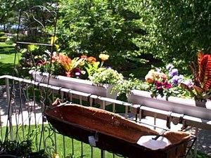 How To Hang Planters on Balcony Patio Railings