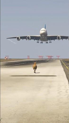 A380 Pilot Faces Unexpected Deer on Runway During Landing