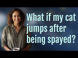 What if my cat jumps after being spayed?