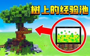 【小七】在树上造了一个微型经验制造池，为了防止再次崩端！鱼七历险记