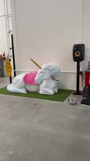 Planning NKOTB Day and BlockCon at the Office