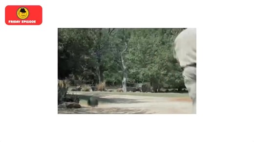 Engaging Tips for Your Friday Routine