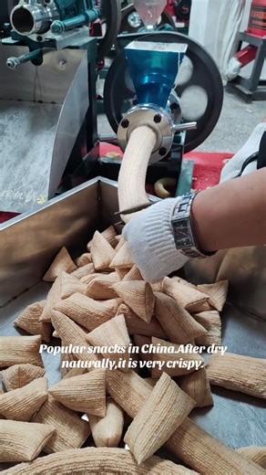 Exploring Popular Snacks in China