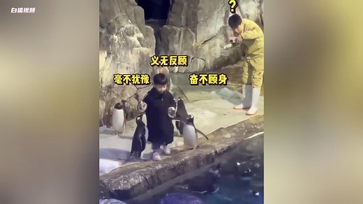 “我能跳下去喂企鹅吗？”下一秒：小孩哥直接跳进水里。网友：忍不住化身一只固执的企鹅_哔哩哔哩_bilibili