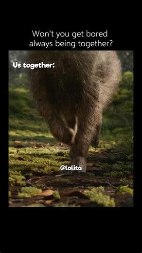 Lola on Instagram: "🦁Interesting Fact: The Lion King (2019) - This movie was produced using advanced virtual reality tools and photo-realistic computer-generated imagery to simulate a traditional live-action filming environment. The cinematography team utilized VR headsets to walk through the digital African savanna, allowing them to scout locations and set camera angles as if they were on a physical set. This technical approach enabled the production to achieve a level of visual detail that mi