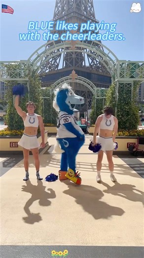 BLUE enjoys engaging in friendly interactions with the cheerleaders.💙#funny #nfl #best #usa #fyp