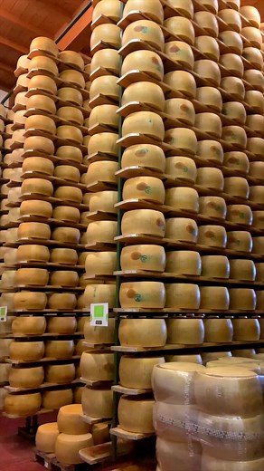Parmesan Cheese: Types, Origins, and Uses