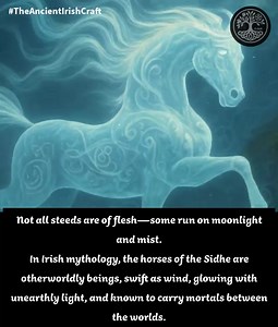 🍀 THE ENCHANTED HORSES OF THE SIDHE 🐎 These fae horses were said to: – Rise from sacred mounds (sidhe) – Gallop across sky and sea with no need for land – Appear at twilight or under the full moon – Lure humans onto their backs—never to return 🌀 In tales such as the wooing of Etain and the adventures of Oisín in Tír na nÓg, these steeds carry souls to the Otherworld, where time flows differently and the land is ever-young. ✨ Tip: If you hear hoofbeats with no rider in sight, pause. Speak resp